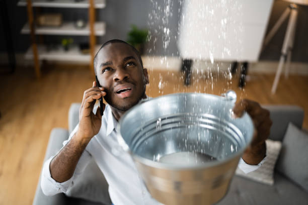 Best Carpet water damage restoration  in Earlysville, VA