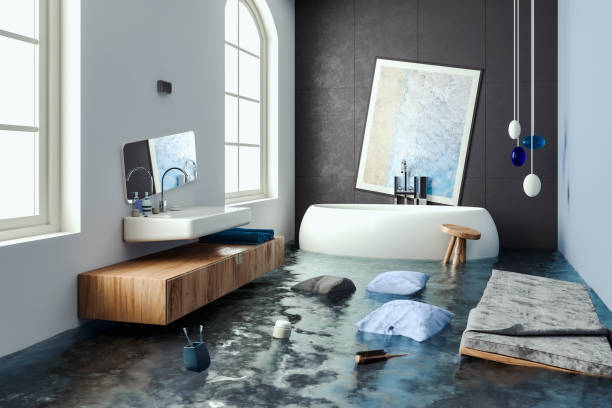 Best Flooded house restoration  in Earlysville, VA