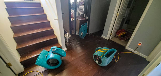 Best Ceiling water damage repair  in Earlysville, VA