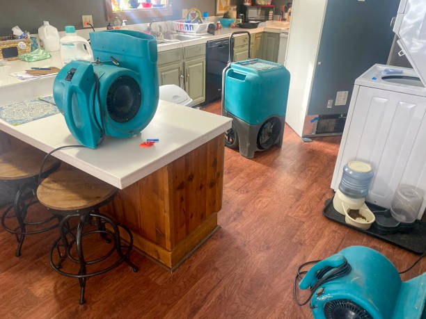 Best Water damage mitigation services  in Earlysville, VA