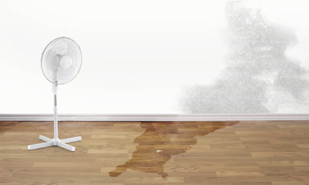 Best Flood restoration services  in Earlysville, VA