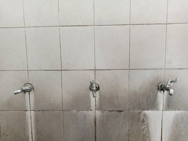 Best Sewage cleanup and water damage restoration  in Earlysville, VA