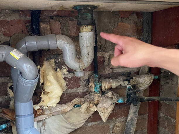 Best Mold removal after water damage  in Earlysville, VA